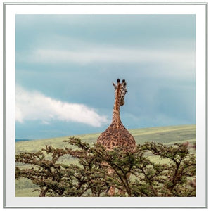 Hagit Gal - nature and landscape photographer | חגית גל - צלמת טבע ונוף