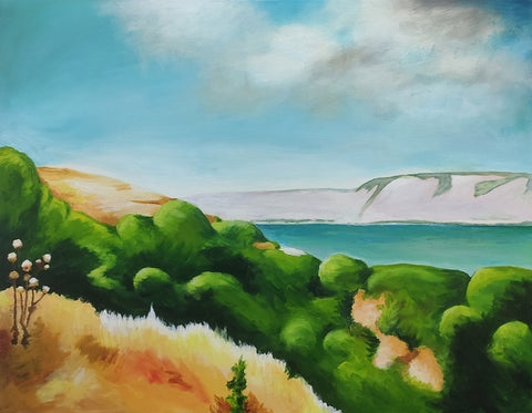 ערן רובינפלד | Eran Rubinfeld, Acrylic  on canvas,  70 by 90 cm
