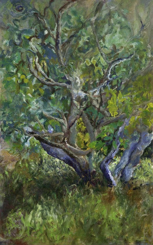 אילת פולק | Ayelet Polak, Fig Tree, oil on canvas, 40 by 25 cm