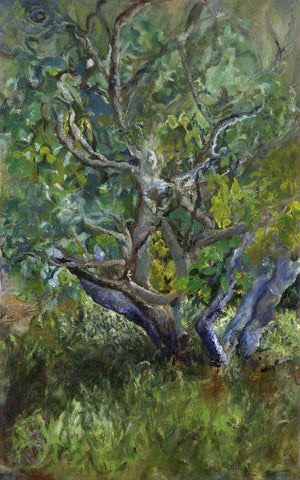 אילת פולק | Ayelet Polak, Fig Tree, oil on canvas, 40 by 25 cm