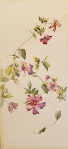 Rivka Pick Landesman,  aquarelle on paper, 59  by  27 cm