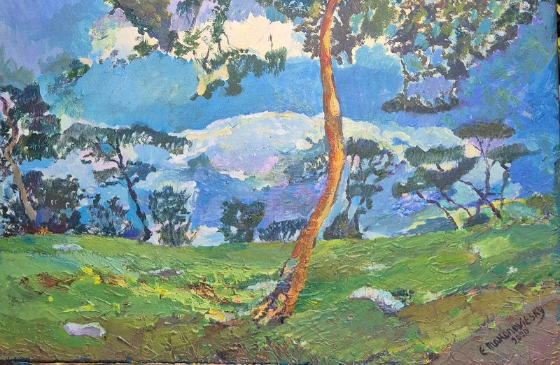 ילנה מקונוביטסקי |  Elena Makonovitsky, Acrylic on canvas, 40 by 60 cm