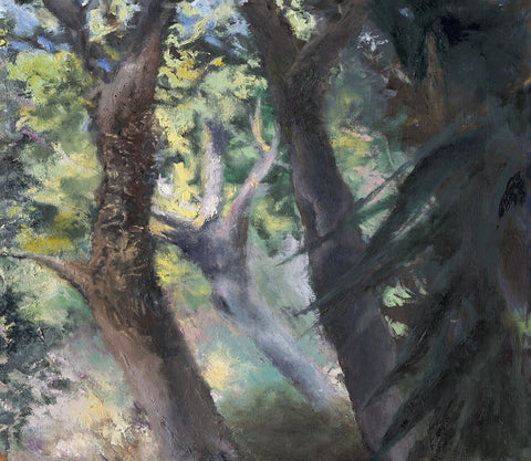 אילת פולק | Ayelet Polak, Trees and Light, Oil on canvas, 50 by 60 cm