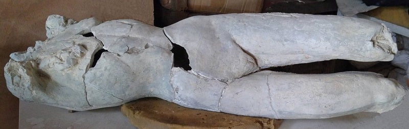 דניאל בהריר | Daniel Baharier,  Cement fondou statue, H. 79 cm