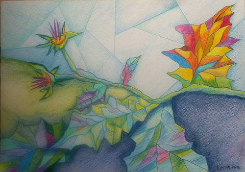 משה פאיאנס | Moshe Fayans , colored pencils on paper, 50 by 70 cm
