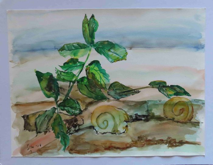 Debbie Eshel, aquarelle on paper, attached to cardboard, 36 by 48 cm