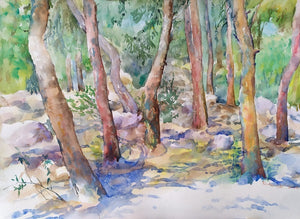 רבקה פיק לנדסמן | Rivka Pick Landesman ,  aquarelle on paper, 38 by  51 cm