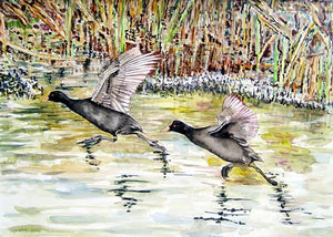 Haya White, Aquarelle on paper, 40 by 70 cm